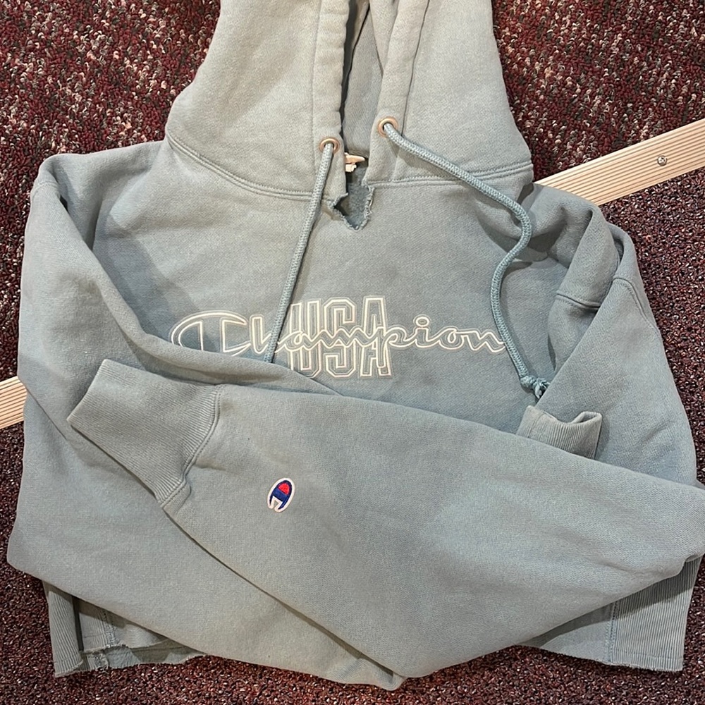 Champion Crop Hoodie